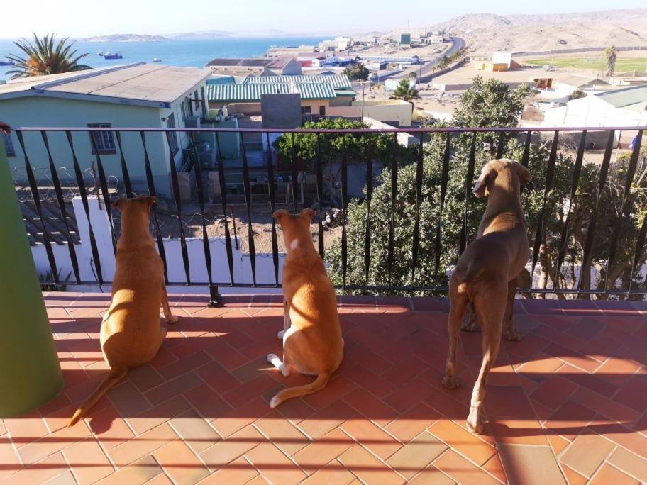 Zur Waterkant Guesthouse Lüderitz Dış mekan fotoğraf